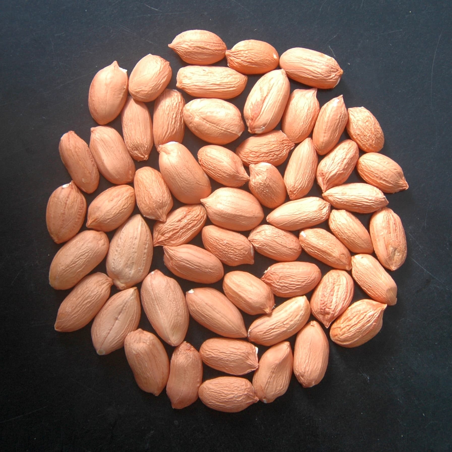 Groundnut